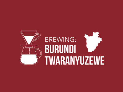 Brewing | V60 | Burundi Twaranyuzewe