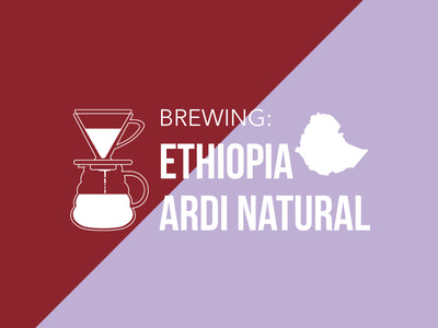 Brewing | V60 | Ethiopia Ardi Natural