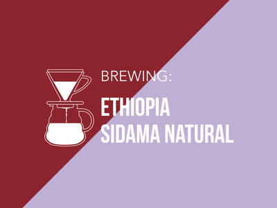 Brewing | Kalita Wave | Ethiopia Sidama Natural