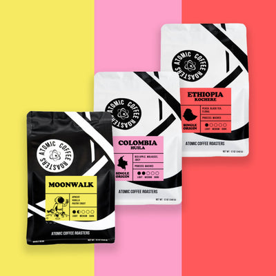 Light Roast Bundle