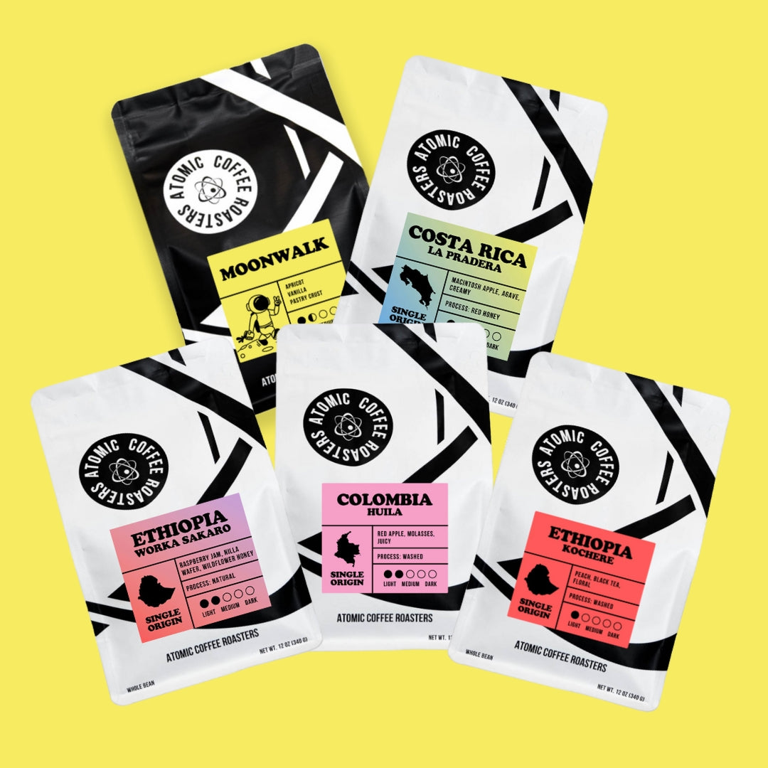 Light Roast Explorer